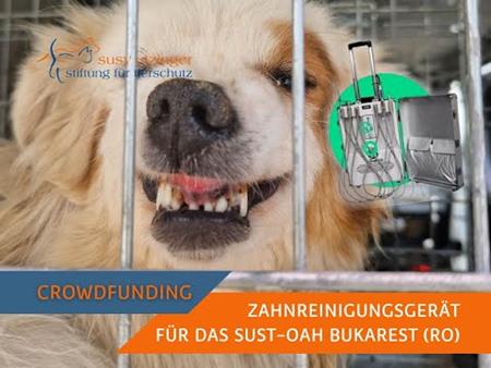 Crowdfunding "Zahnreinigungsgerät OAH-Bukarest"