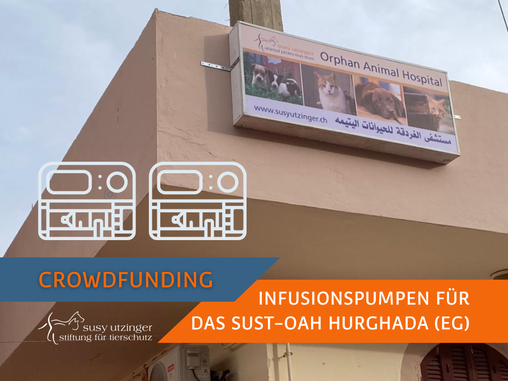 Crowdfunding "Geräte für das OAH-Hurghada"