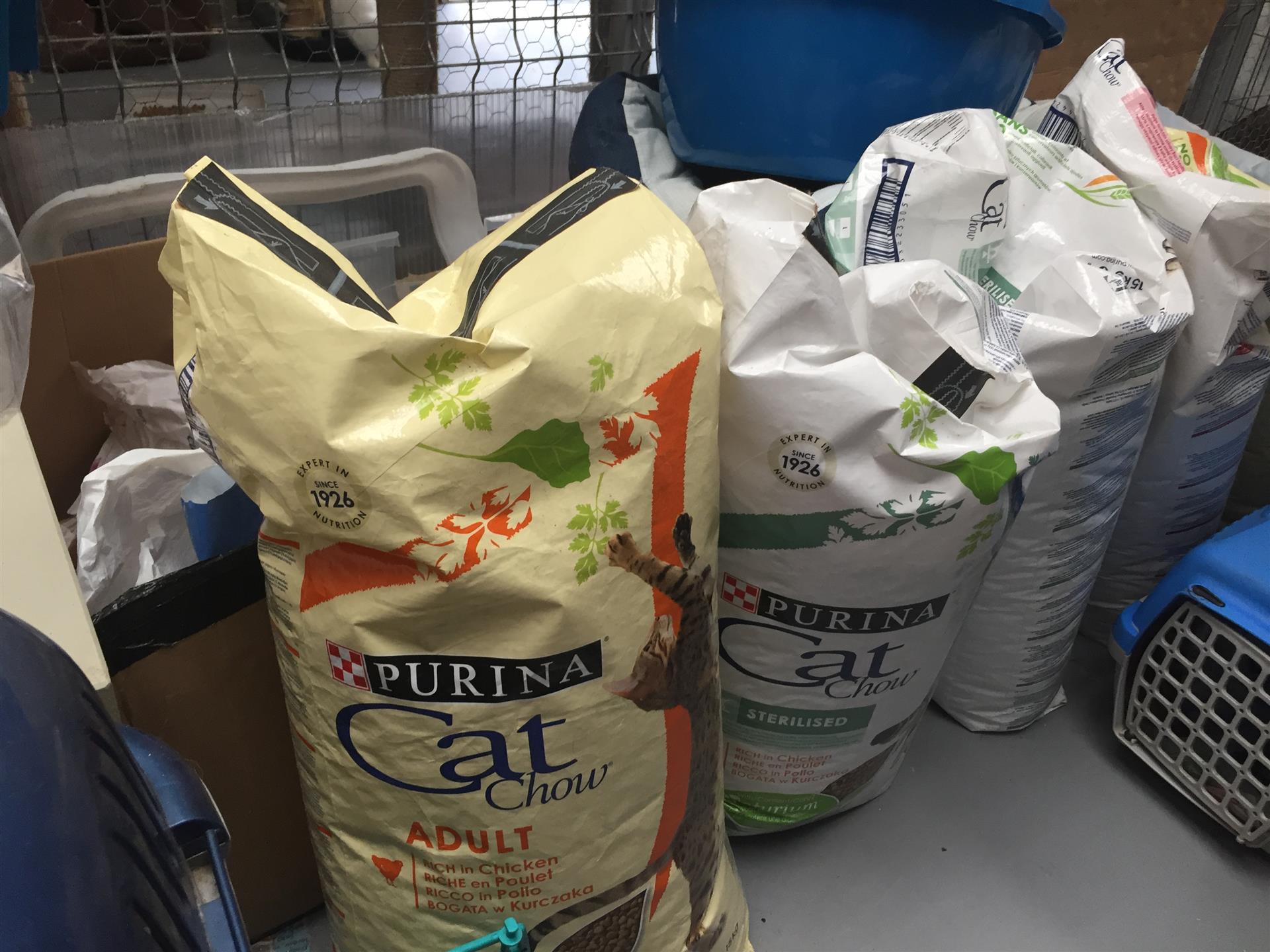Futterlieferung für die Katzen des Tierheims Help Labus
