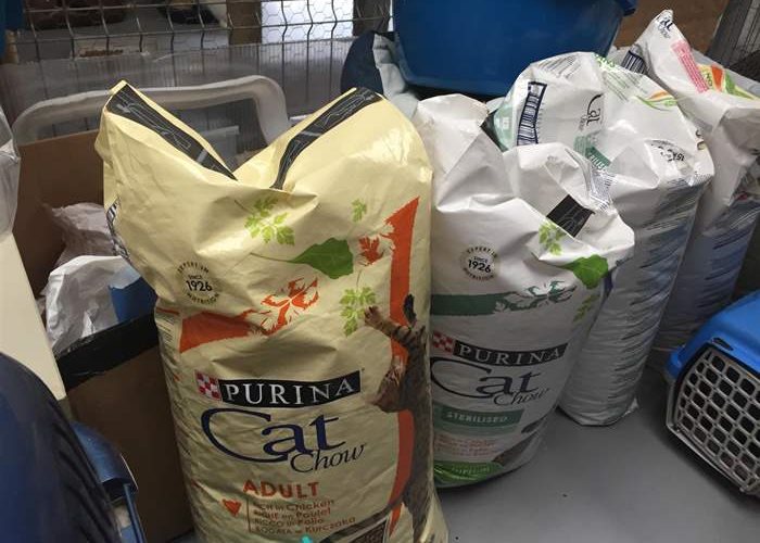 Livraison de nourriture pour les chats du refuge Help Labus