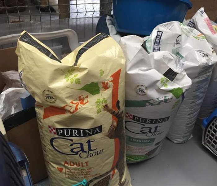Futterlieferung für die Katzen des Tierheims Help Labus