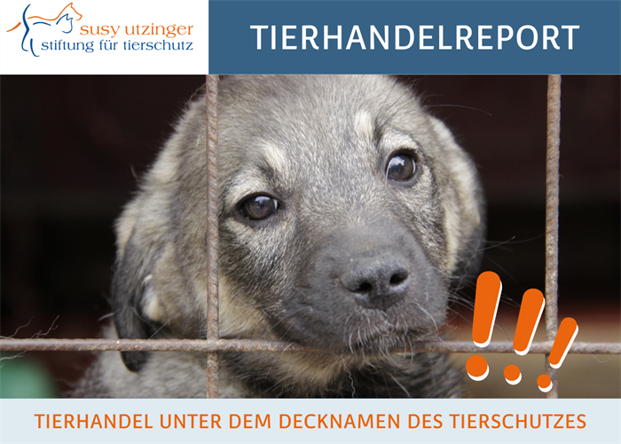 Rapport de la SUST sur le commerce d'animaux - Le commerce d'animaux sous le nom de code de la protection des animaux