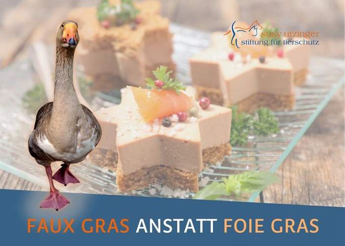 Christmas goose with a difference: VeGans! (ger: Gans = Goose)