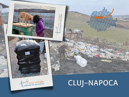 Futternothilfe und Kastrationen in Cluj-Napoca, Rumänien