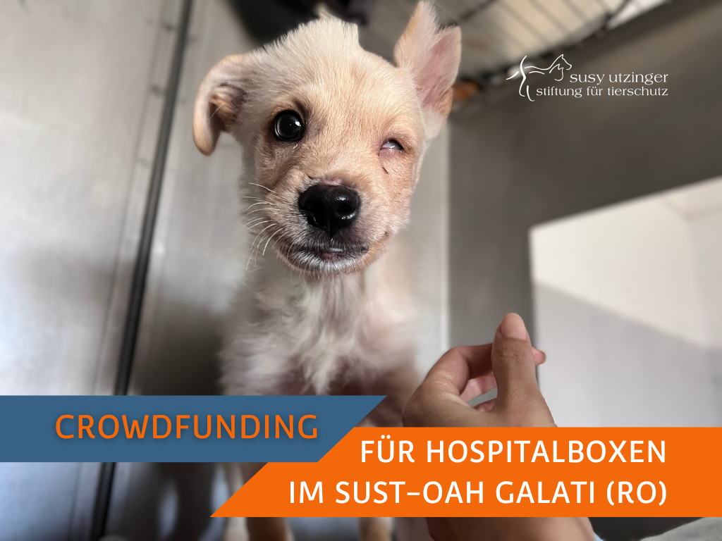 Crowdfunding "Hospitalboxen OAH Galati "