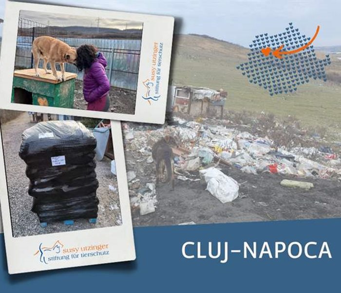 Futterlieferung für unsere Partnerorganisation in Cluj-Napoca, Rumänien