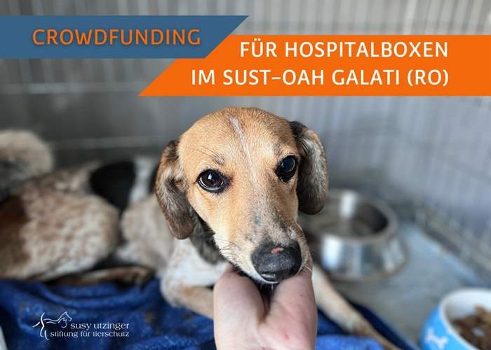 Crowdfunding for Hospital Boxes