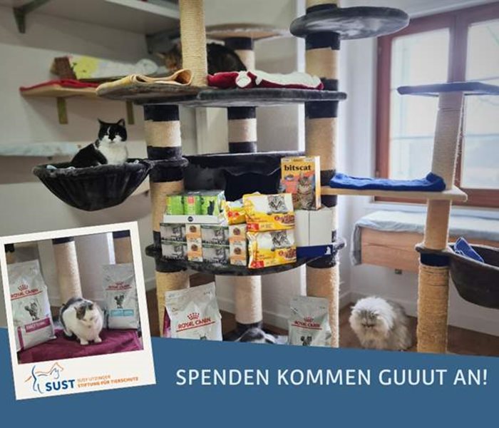 Don de nourriture pour la maison de retraite pour chats Schnurrli à Sternenberg