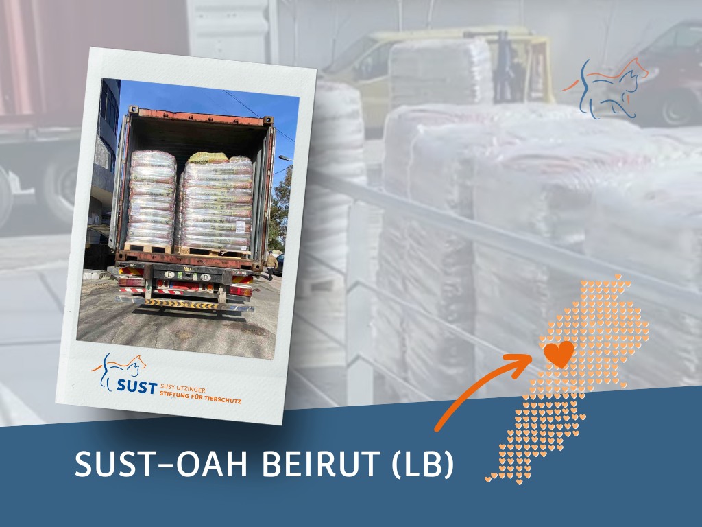Le refuge pour animaux SUST-OAH de Beyrouth a eu besoin de réserves de nourriture supplémentaires.