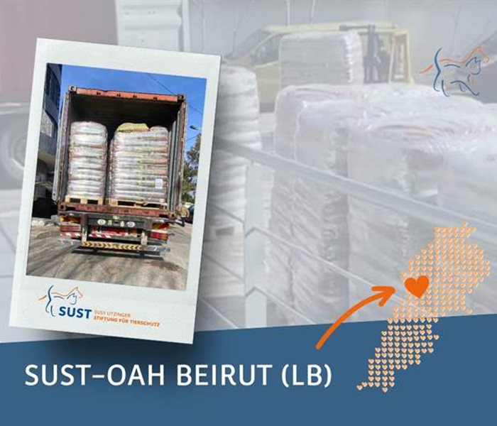 Additional food reserves were needed at the animal shelter and SUST-OAH Beirut