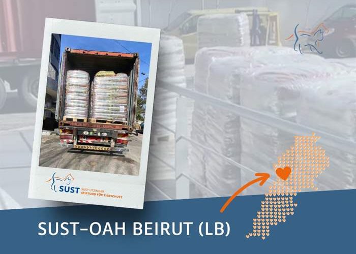 Im Tierheim und SUST-OAH Beirut wurden zusätzliche Futterreserven benötigt