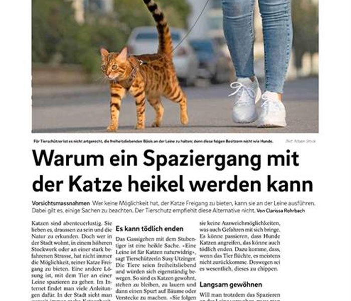 Tagblatt der Stadt Zürich - März 2024