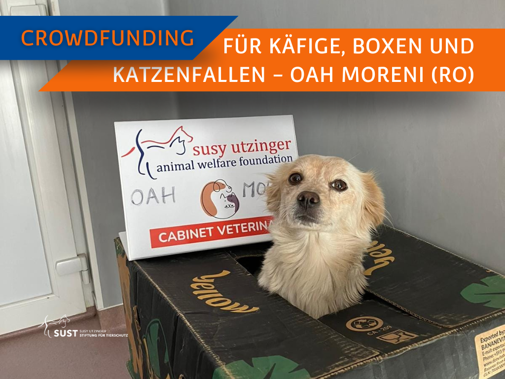 Crowdfunding "Transportboxen, Käfige und eine Katzenfalle" für das OAH MORENI