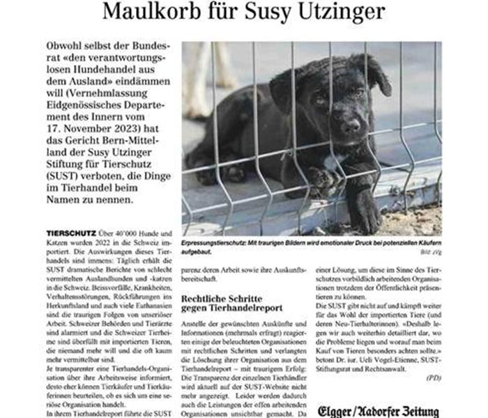 Elgger | Aadorfer Zeitung - April 2024
