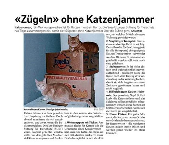 Tagblatt der Stadt Zürich - April 2024
