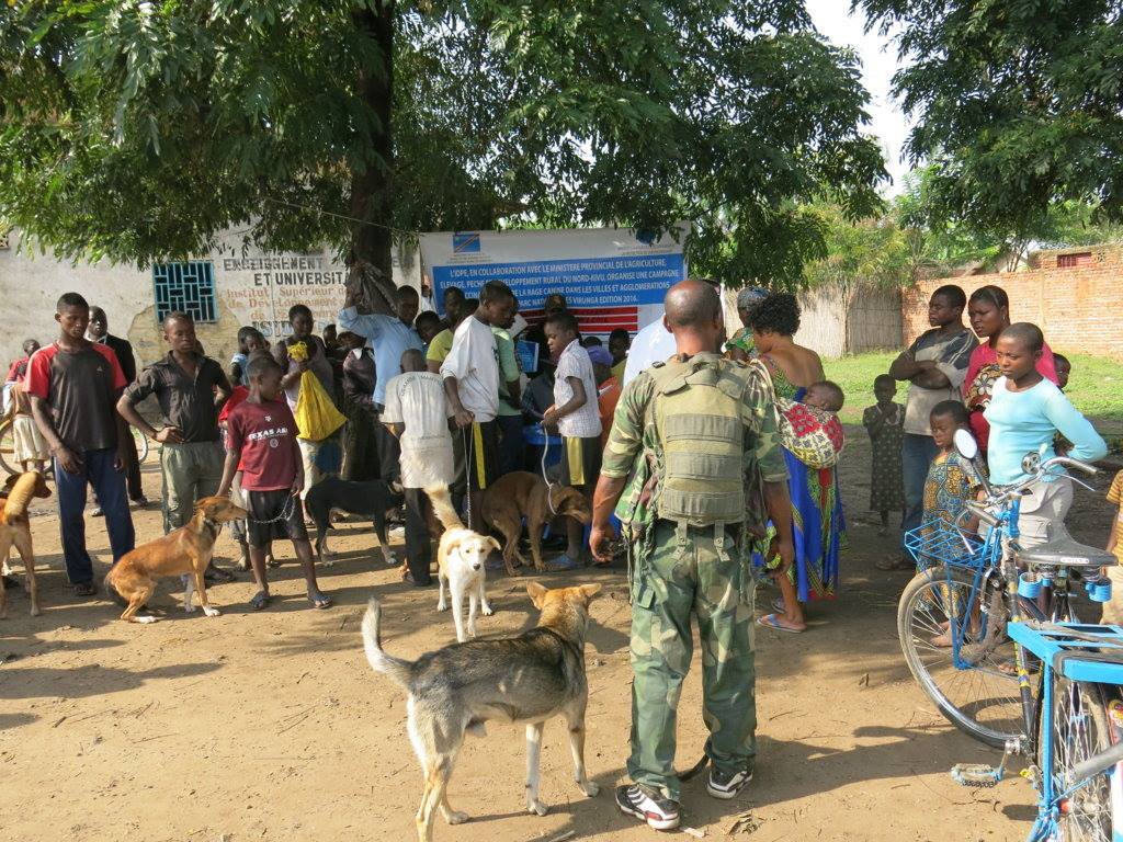 Rabies vaccinations in the Democratic Republic of the Congo