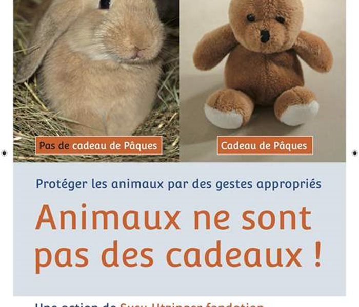 Ostern: Tiere sind keine Ostergeschenke (FR) 222x297