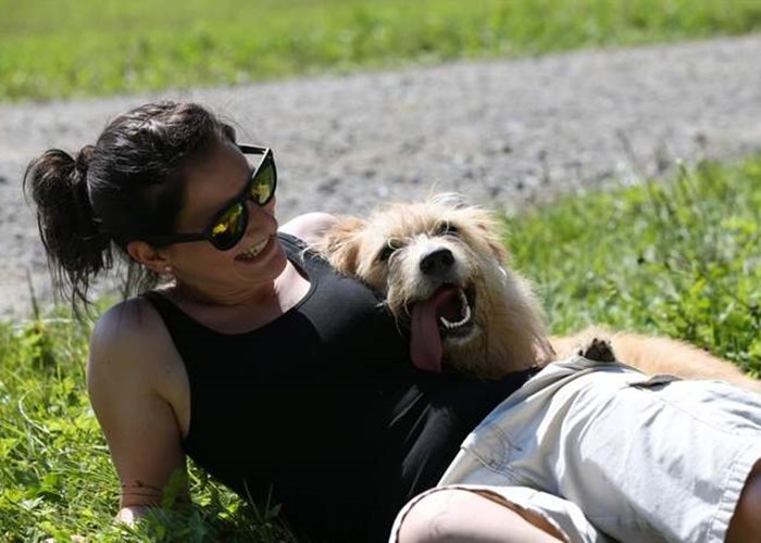 Hunde-Military der Susy Utzinger Stiftung für Tierschutz
