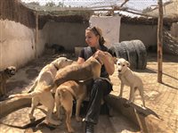 Susy Utzinger umringt von Tierschutzhunden