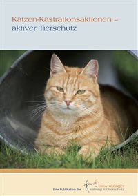 Katzen-Kastrationsaktionen = aktiver Tierschutz