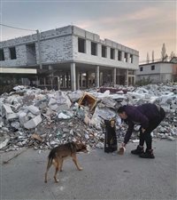 Helferin füttert verwaiste Tiere in den Ruinen bei Shirokoye, UA