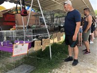 "Hundeabteilung" auf Touristenmarkt in Fonyód am Balaton (Ungarn)