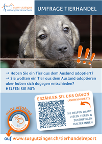 Plakat Umfrage Tierhandel